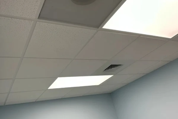 Two Brothers Drywall Service LLC's Other Services